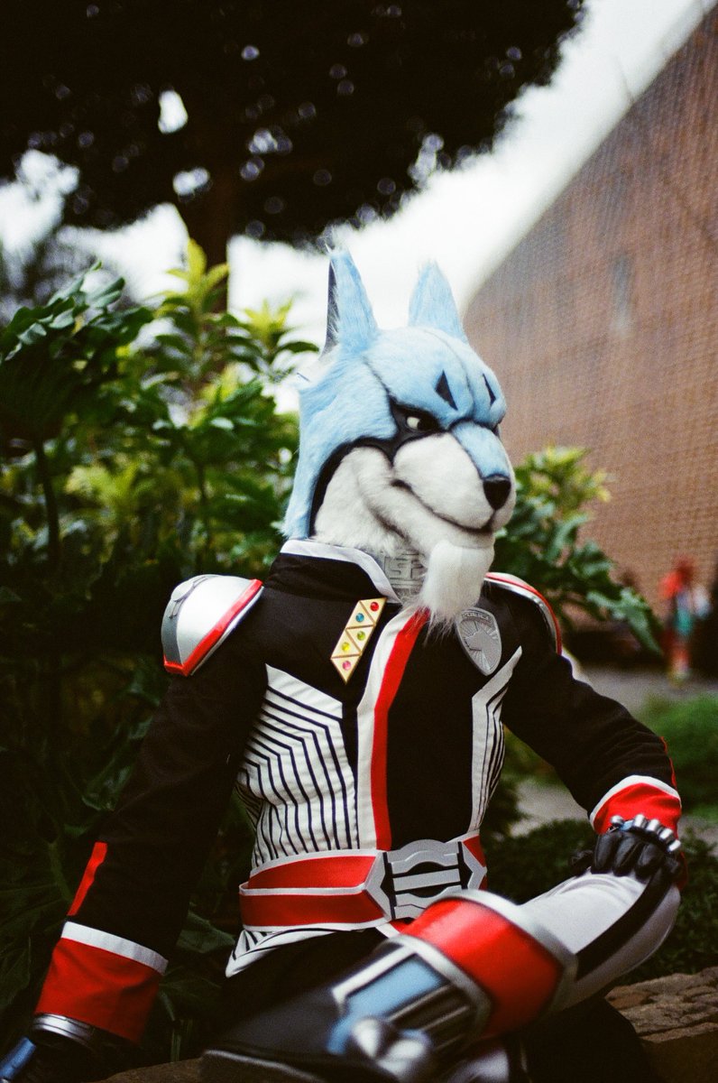 樹狼(TreeWolf)🔜UTFG tweet media