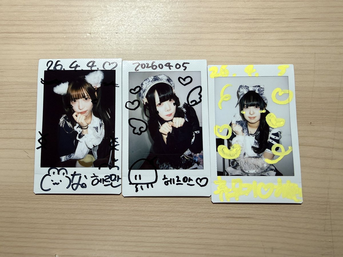 헤르만(Hermann) tweet media