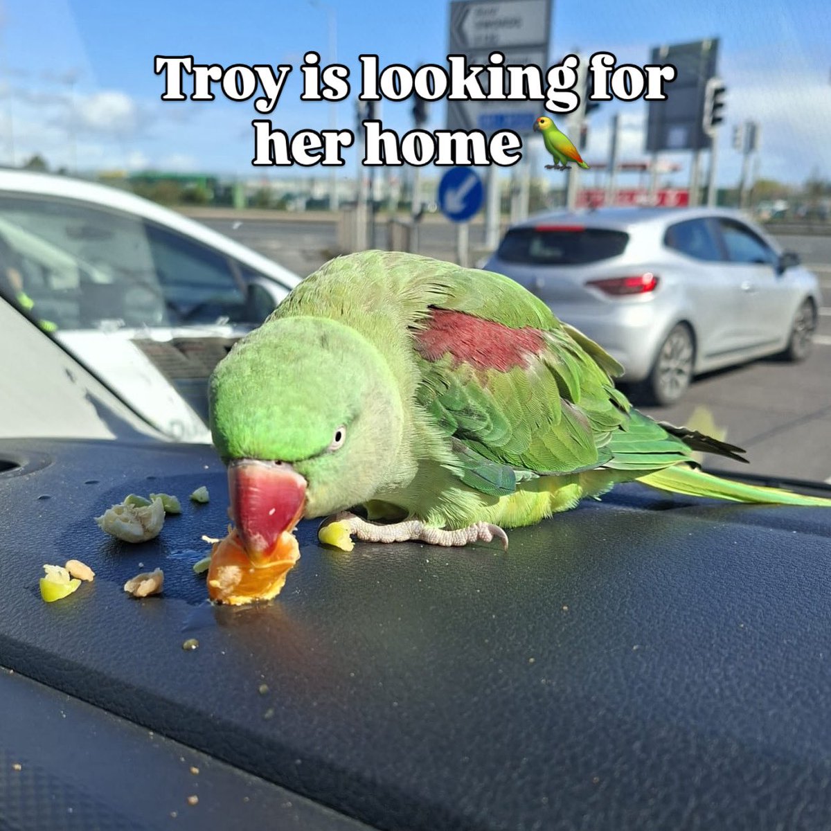 Dublin Airport tweet media