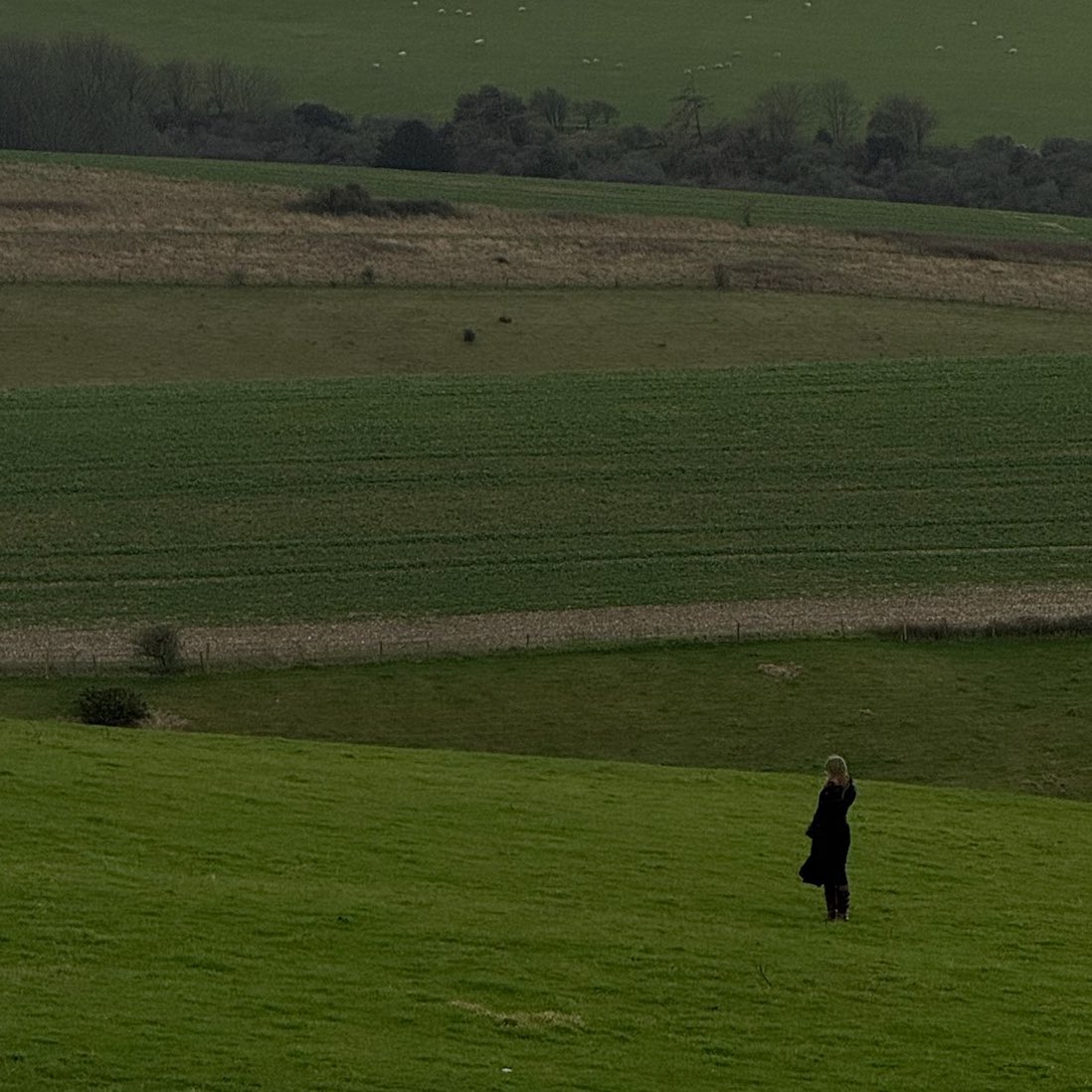 nell mescal🧚🏼 tweet media