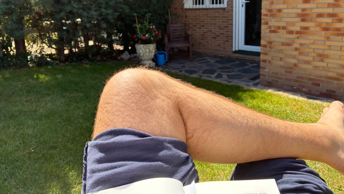 Alfi Alfons 🌻 tweet media