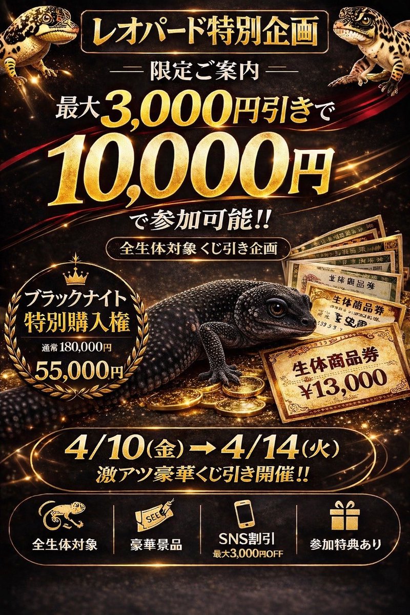 leopard__85's tweet photo. ✨🦎レオパード特別企画🦎✨

 ― 限定ご案内 ― 

本企画は、
全生体対象の特別くじ引き企画となります。

⸻

🎫 ご参加について

通常価格 13,000円

📱 SNS投稿特典にて最大割引
この投稿画像を
・Instagramストーリー メンション
👉 1,000円引き

・TikTok メンション投稿
👉 1,000円引き

🎯 両方達成で合計3,000円引き
👉 13,000円 → 10,000円

※ご参加前の投稿をお願いいたします

⸻

🏆 特典内容

🥇 ✨✨✨A賞✨✨✨
🎫 13,000円分 生体商品券 

👑‼️ブラックナイト ‼️👑
特別購入権
👉 180,000円 
→ 55,000円🔥
※50分の1で当たります🎯

⸻

🥈 🪙🪙🪙B賞🪙🪙🪙
🎫 13,000円分 生体商品券 ＋
🎫 全生体 50%OFF優待券
※10分の1で当たります🎯

⸻

🥉 C賞
🎫 13,000円分 生体商品券
※絶対当たる！ハズレなし！
⸻

🎁 ご参加特典

🪳 生き餌スタンプカード プレゼント

ご来店ごとにスタンプGET✨

・1回 ▶ 5%増量
・3回 ▶ 10%増量＋おまけ
・5回 ▶ 半額

🎁 8スタンプ達成特典
��� 過去ご購入平均分相当の生き餌を1回無料

🎯 コンプリート特典
👉 次回以降ずっと5%OFF

※当店基準の範囲内にてご提供いたします

⸻

⚠️ 本企画について
・数量限定
・生体状況により予告なく終了する場合あり

⸻

✨ 価値ある個体との出会いを、より特別な形で…

📅 開催期間：4/10〜4/14
#レオパード#ズッキー飼育員#生き物