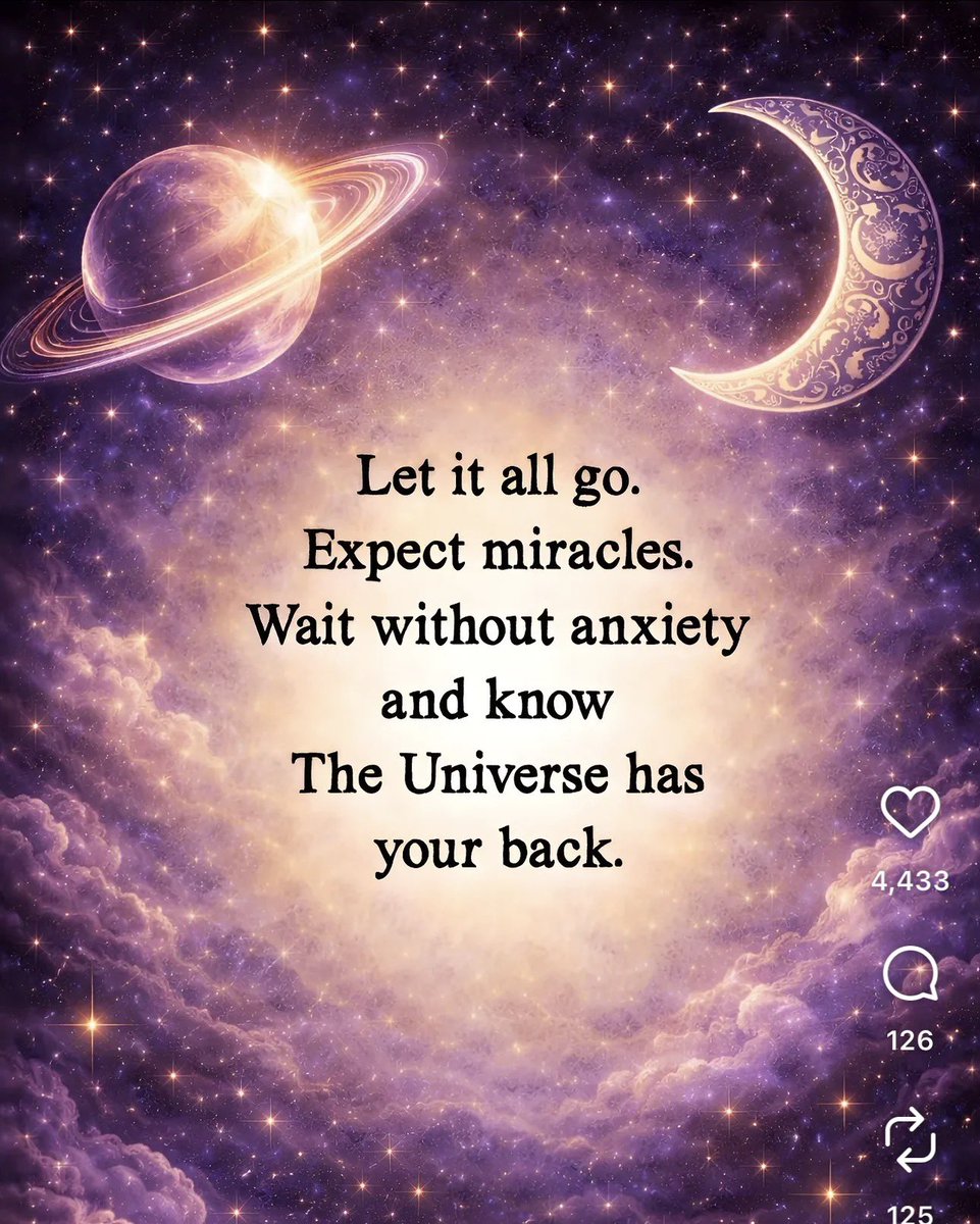 Titcoin Whale tweet media