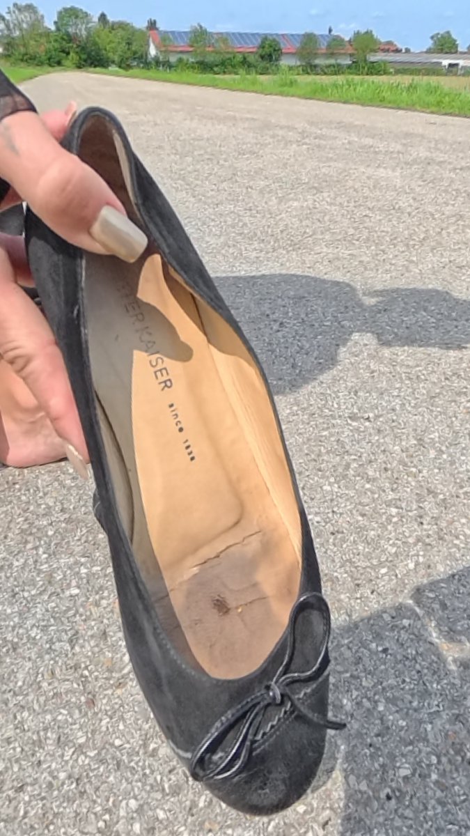 Women's Flats • Sneakers • Socks tweet media