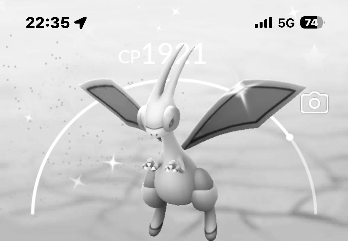 もりちんゆー(著作権フリー)@𝕋𝕖𝕒𝕞 BMz tweet media