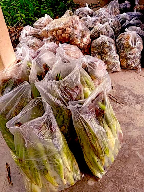 น้องช้างFamily🐘🐘🐘 tweet media