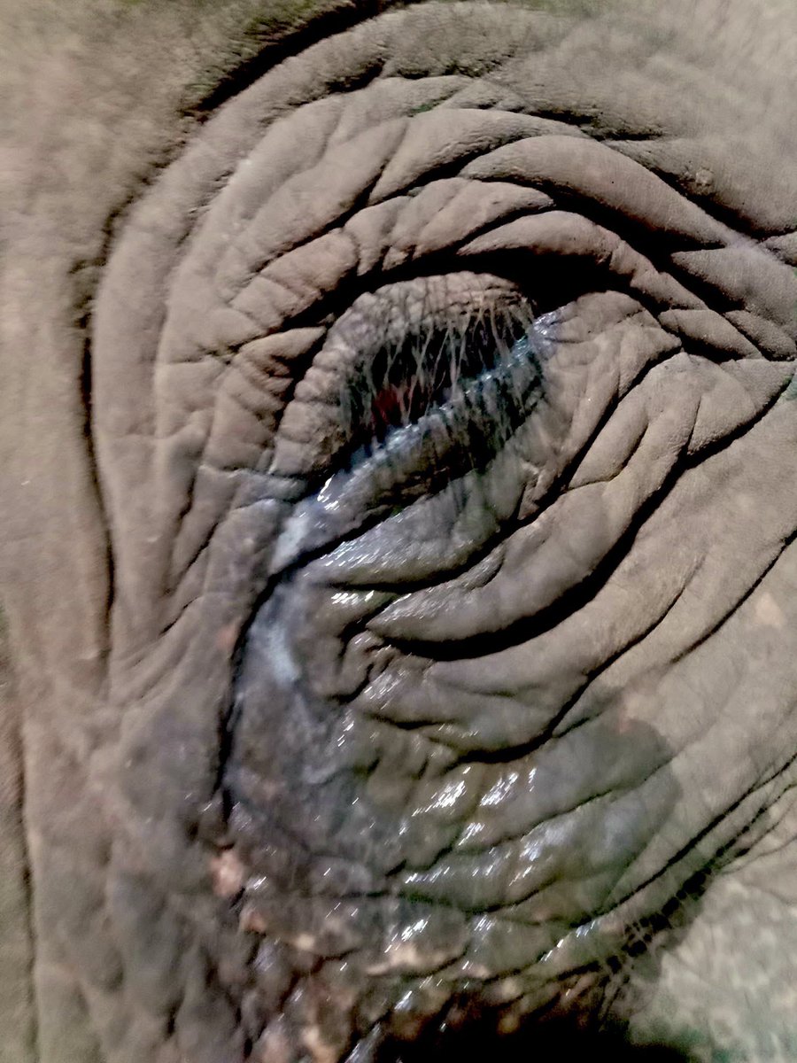 น้องช้างFamily🐘🐘🐘 tweet media