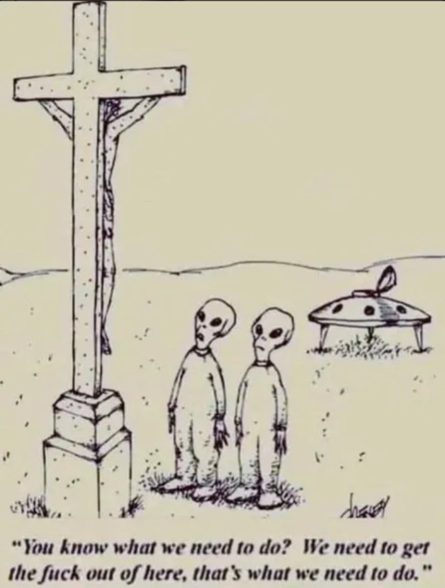 Angry Meme Gator tweet media