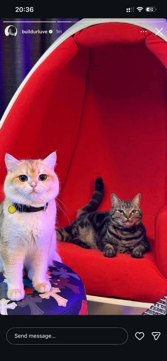 พัคจอจอ | นาคราชเดอะมิวสิเคิล🎪 tweet media