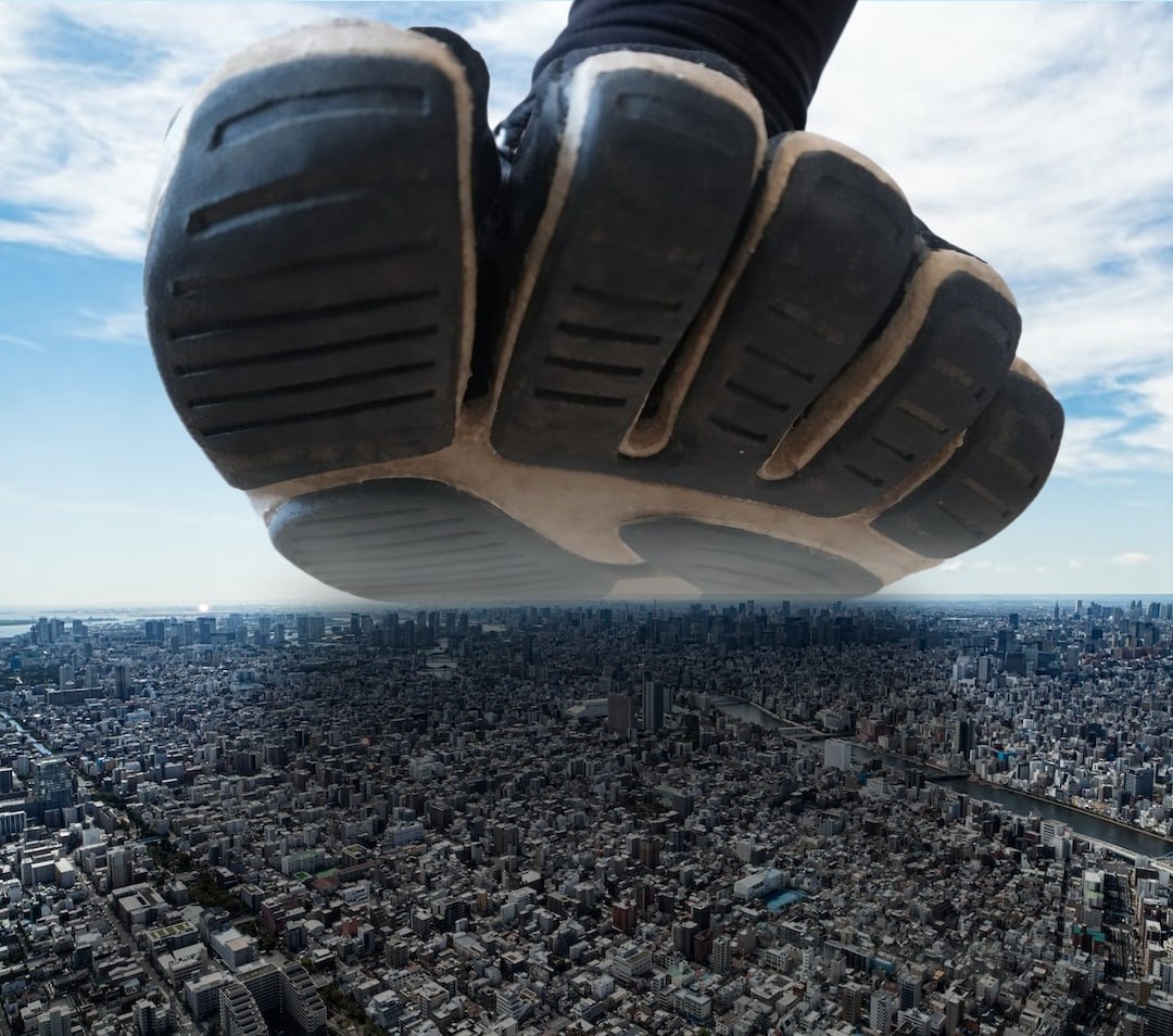 Jax The Dragon tweet media