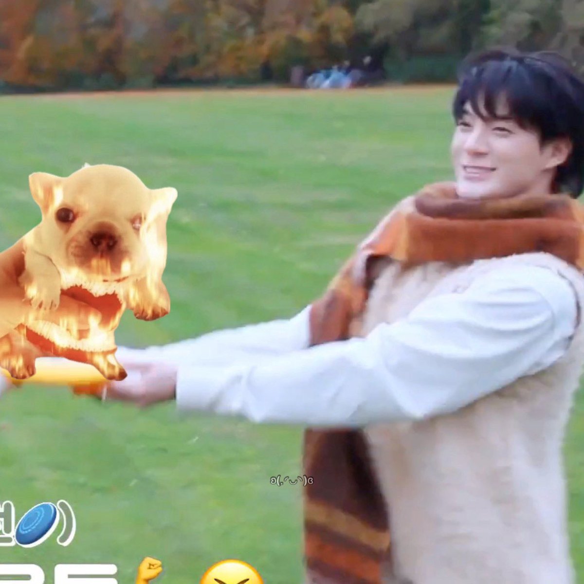 지리누 tweet media