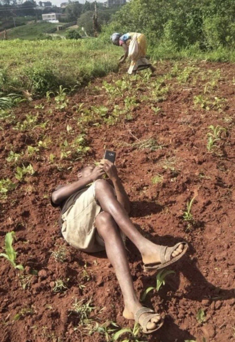 𝐈𝐫𝐢𝐧𝐠𝐚 𝐅𝐢𝐧𝐞𝐬𝐭 🐕 tweet media