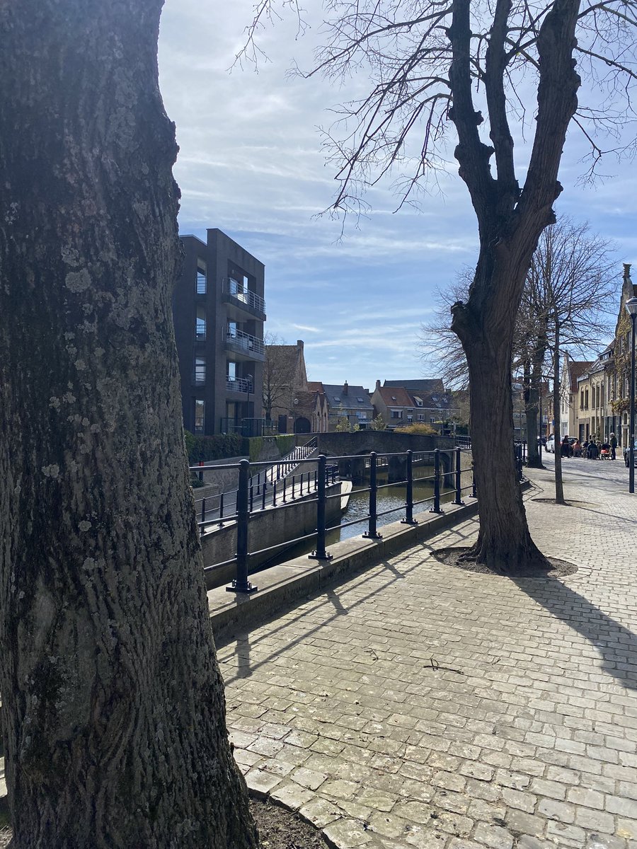 Ward Markey tweet media