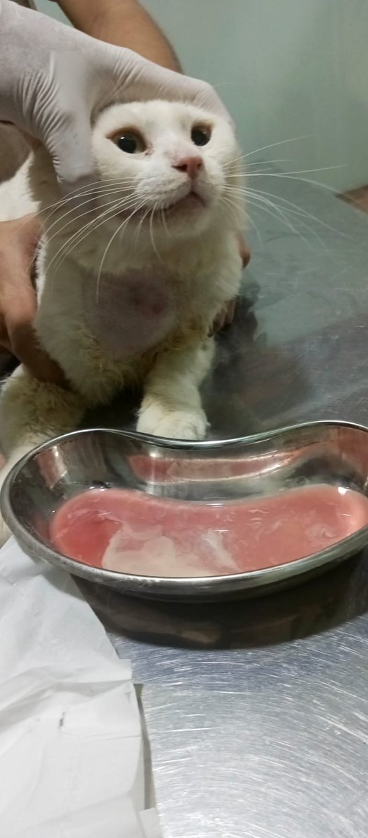 yummy taste tweet media