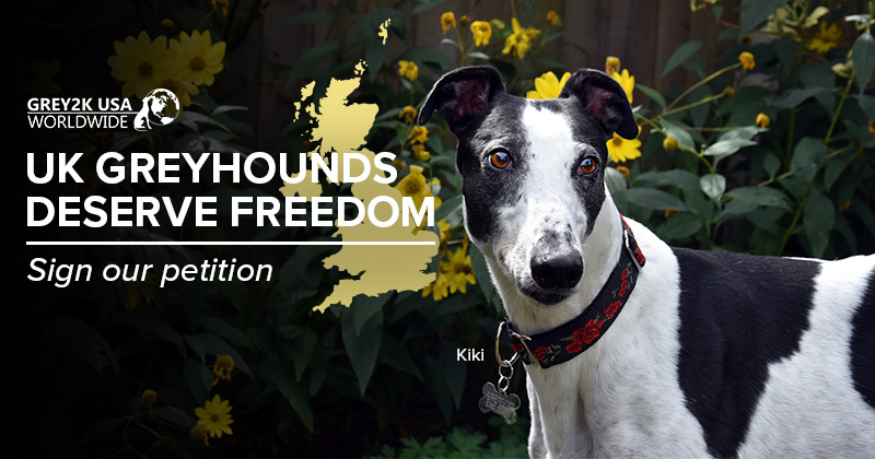 CagesFree's tweet image. There will be 19 tracks operating in the United Kingdom The GBGB is the governing body for 17 licensed tracks in England
One of the most troubling aspects of British dog racing is the issue of disappearing #puppies
actionnetwork.org/letters/end-do…