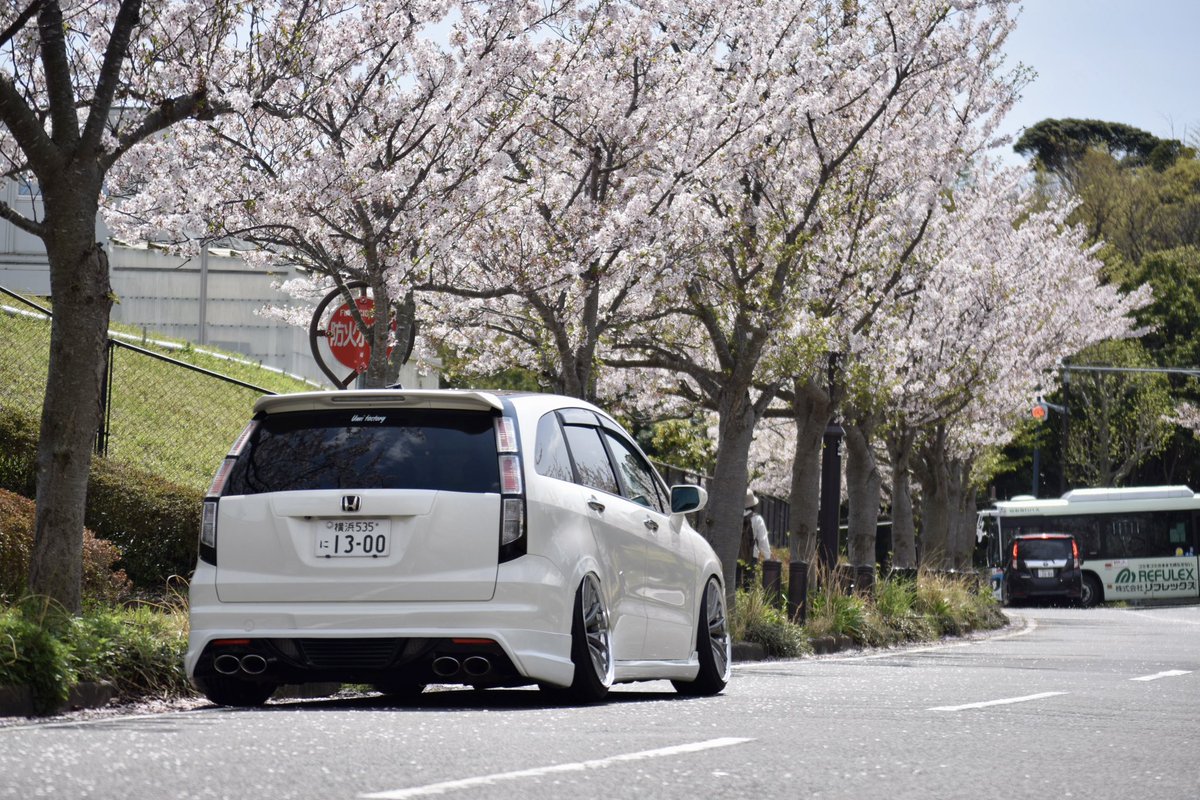 yusuke_rn8's tweet photo. 今年も毎年恒例の桜と🌸 https://t.co/28rKAKqwFP