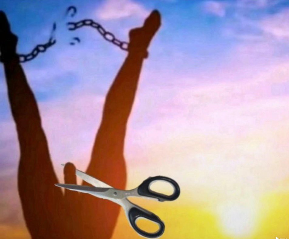 ZARA ✨ tweet media