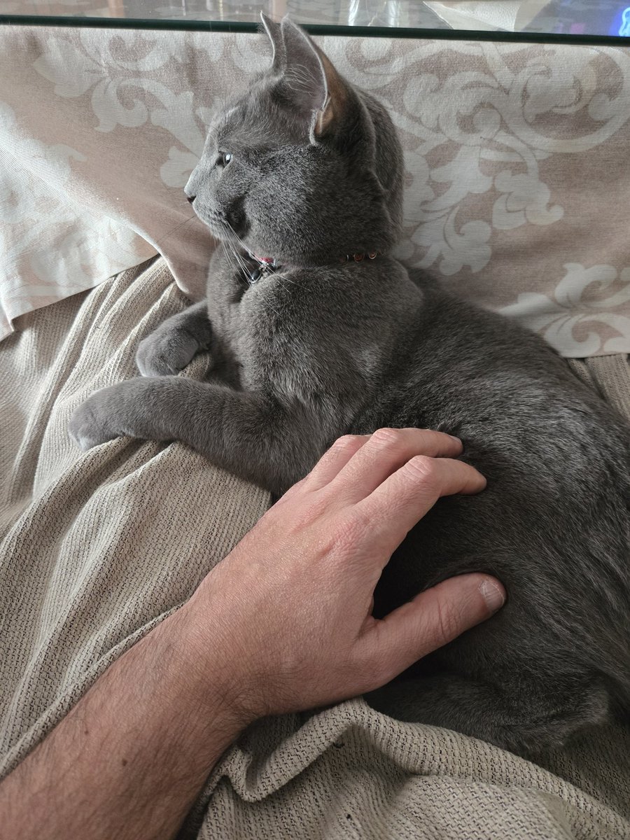 Alejandro tweet media