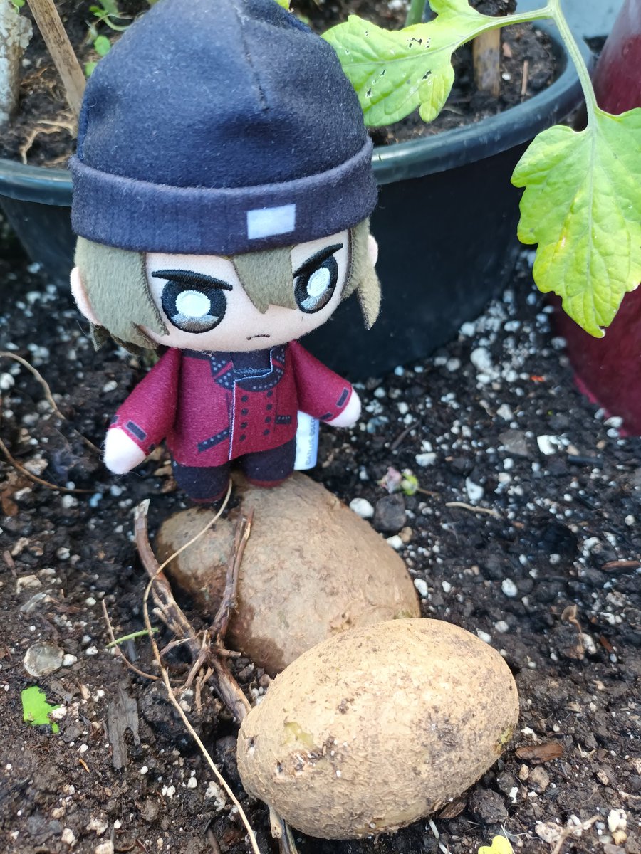 Shinjiro Eggygaki tweet media