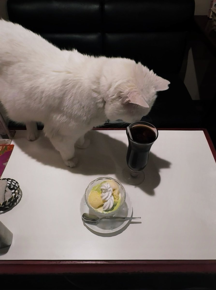 みをり tweet media