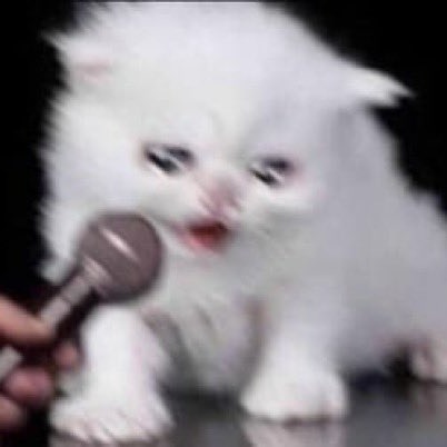 Aoomly ♡ 🐰🌙🧋 tweet media