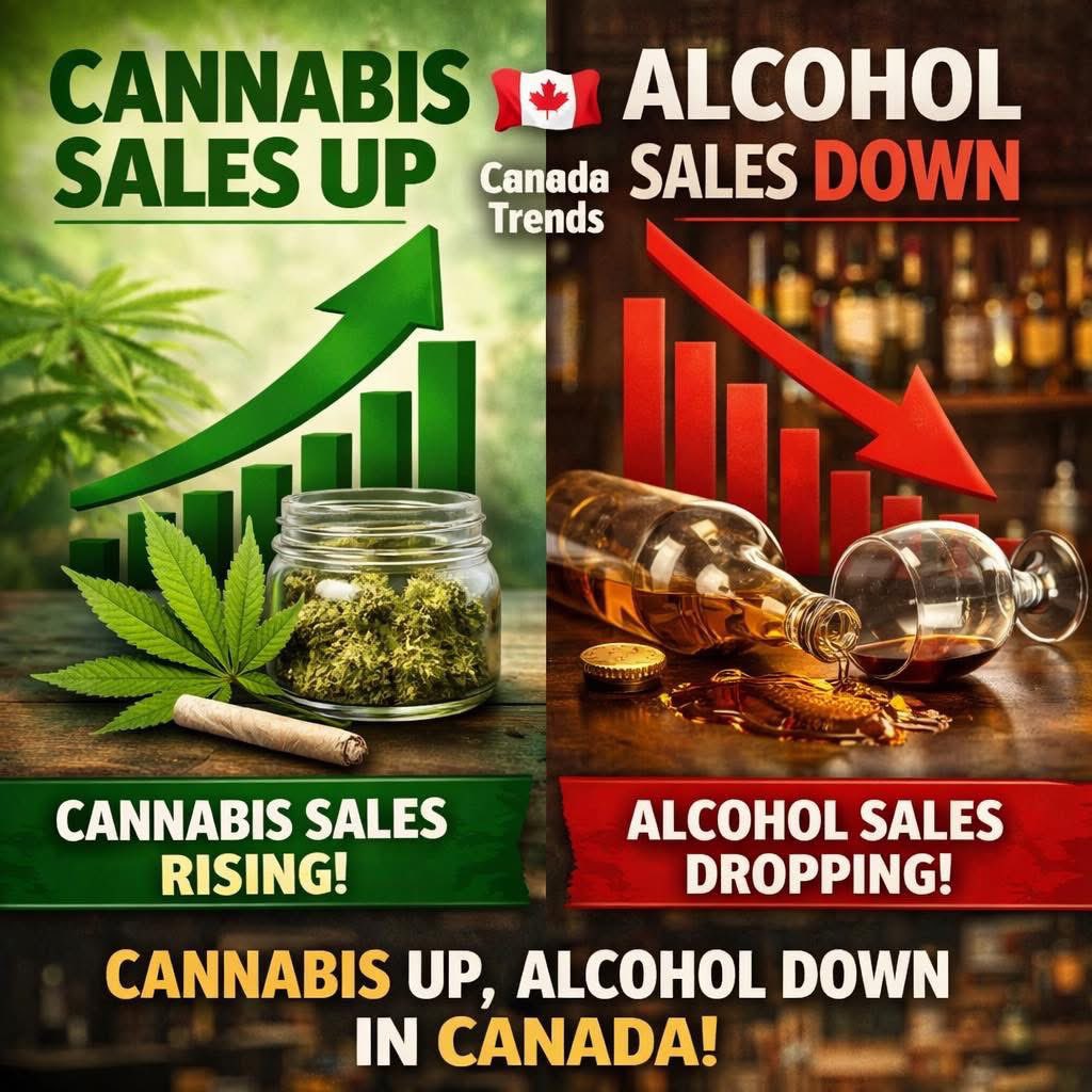 Steph 🇨🇦🌿💨 tweet media