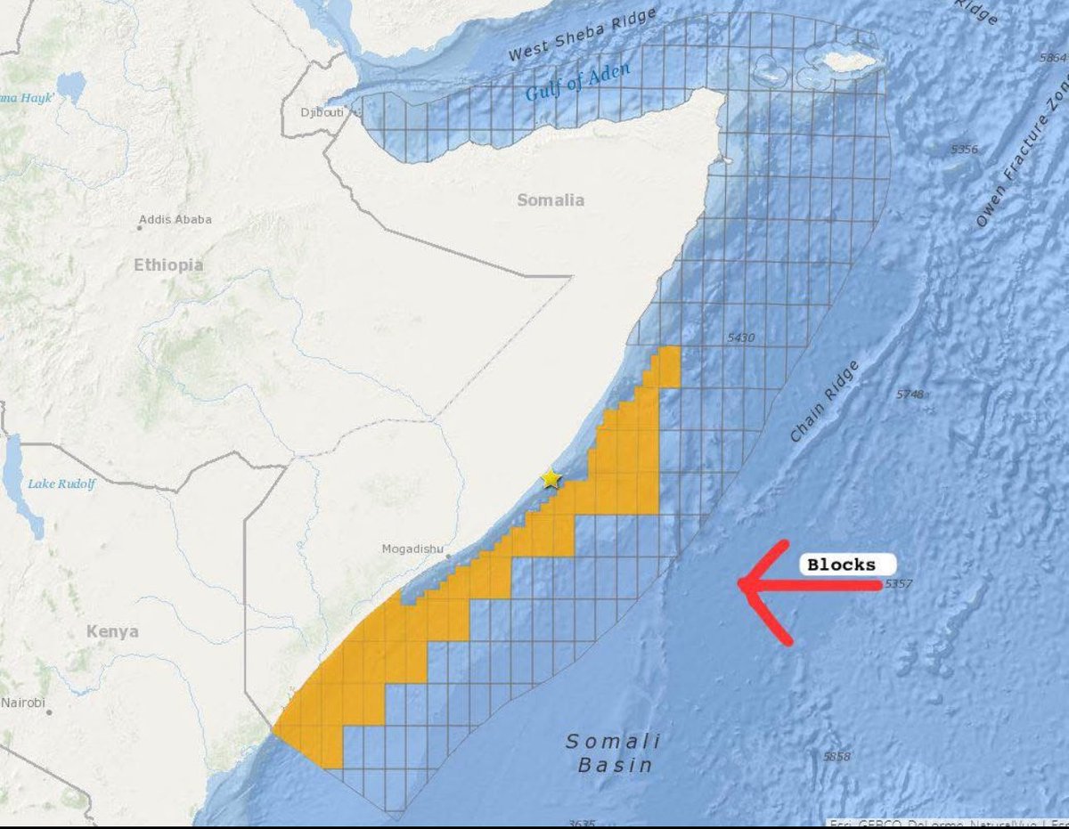 Adam Mo Ali tweet media