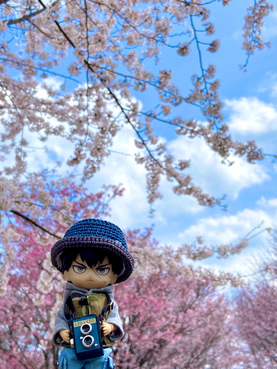 shin-shin tweet media