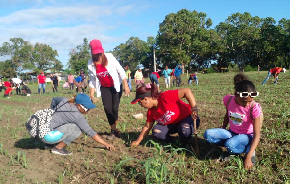 Alis Azahares tweet media