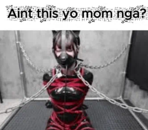 Poland_Mapping832 tweet media