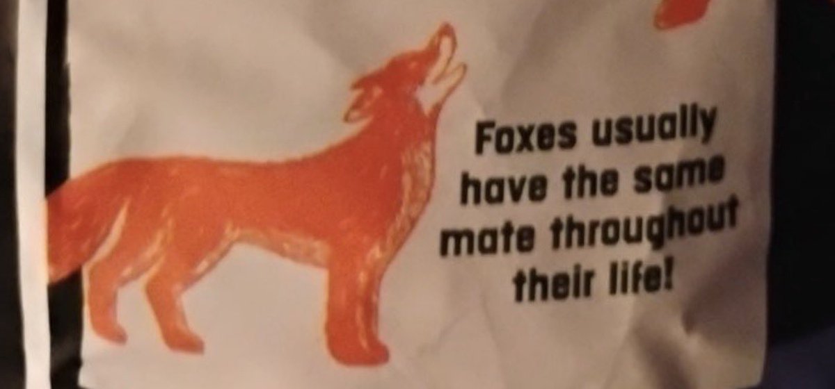 Electra Fox tweet media