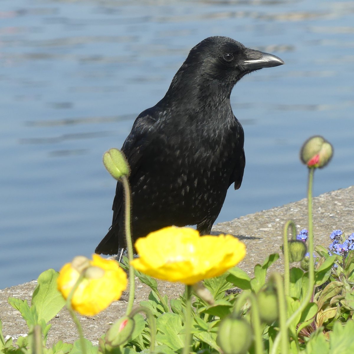 Jason Cann tweet media