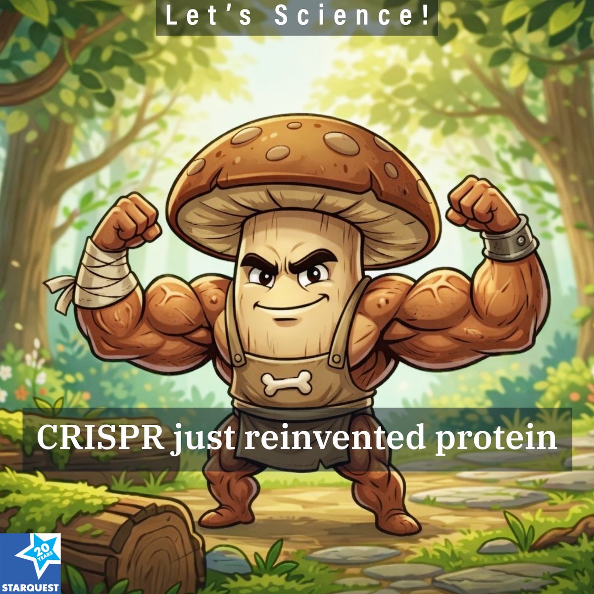 sqpn's tweet image. CRISPR knocked out two genes in Fusarium venenatum: one thinned the cell wall for better digestion, the other cut ethanol waste and redirected carbon into protein. The result: a better protein factory. #CRISPR #FoodScience
Discussion in replies.