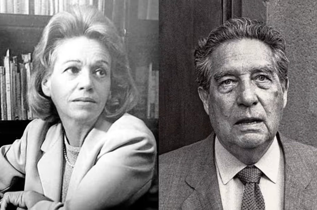 José Mario tweet media