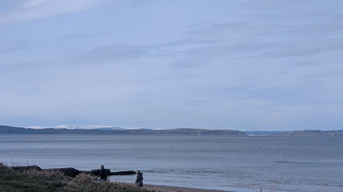 Moya 🏴󠁧󠁢󠁳󠁣󠁴󠁿 tweet media