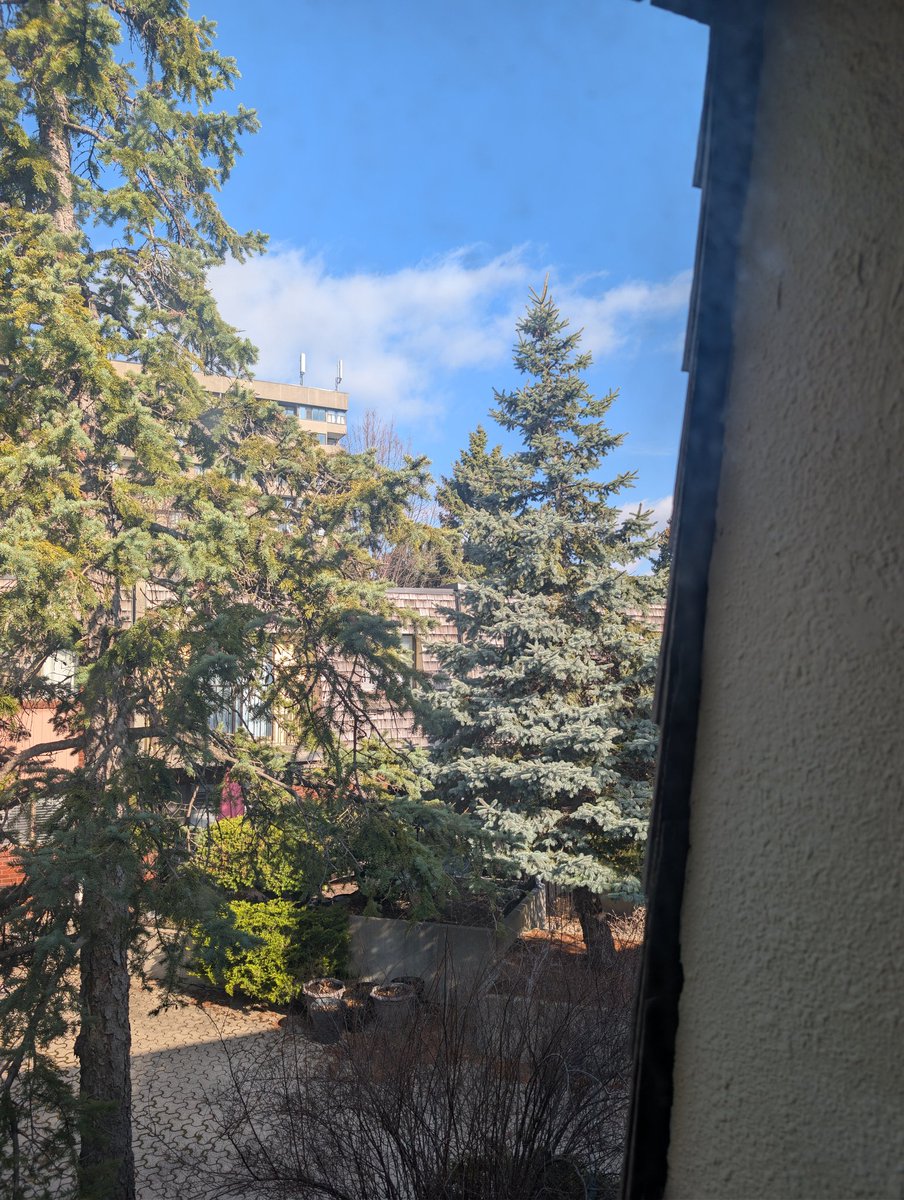 #nadiedicenada  a ver adivinen