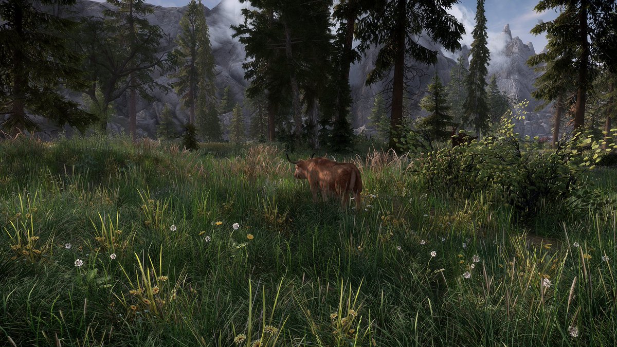 Scot Sterling tweet media