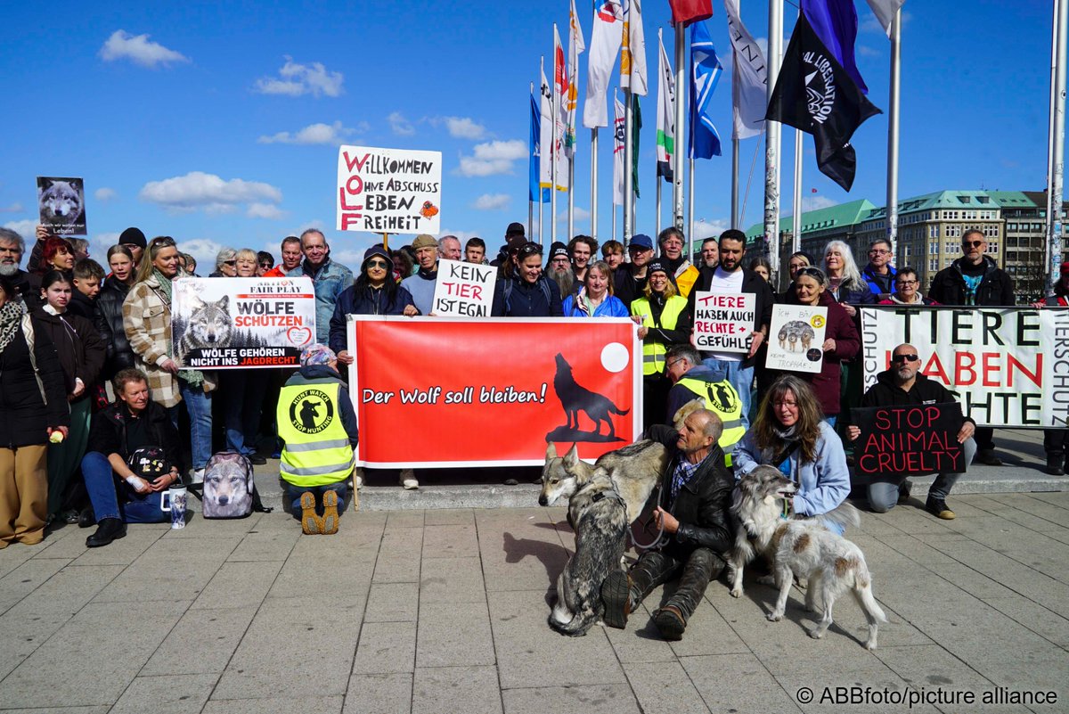 Аркадий Бабченко tweet media