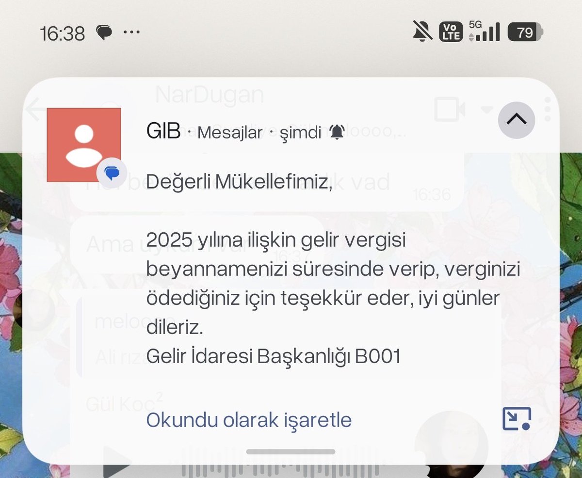 Damla 双喜🤩 tweet media