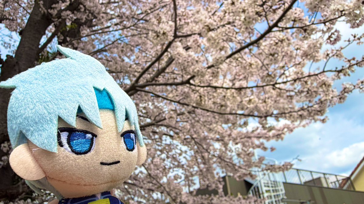 かるち tweet media