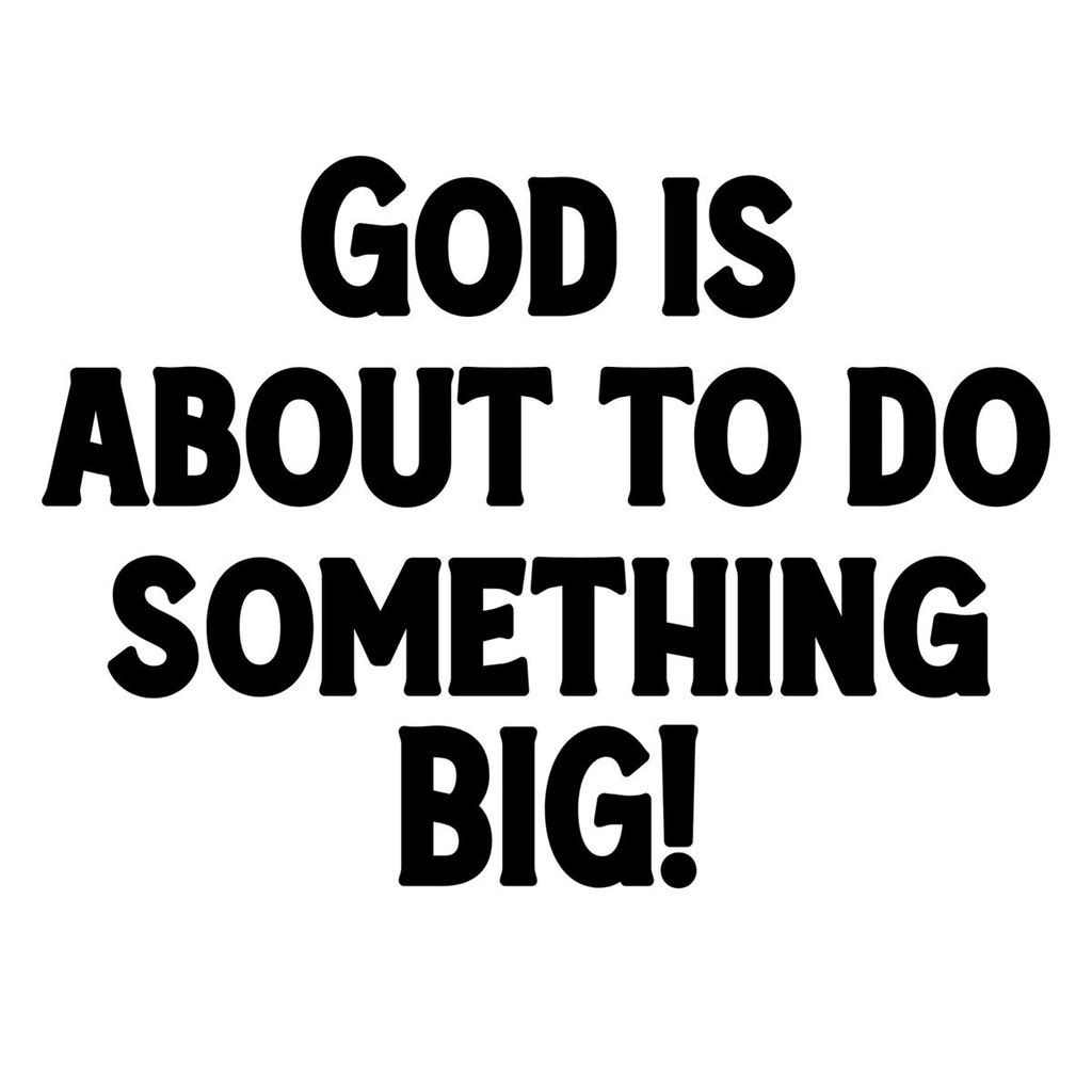 ProgressCode🌺 tweet media