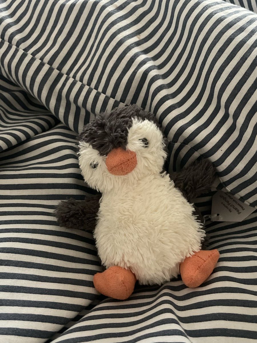 7th year: โโ๏ฝก๐ฆนยฐโงโ
โต โฆ ๐ค๐ฐ๐ฎ๐ฆ๐ฃ๐ข๐ค๐ฌ tweet media