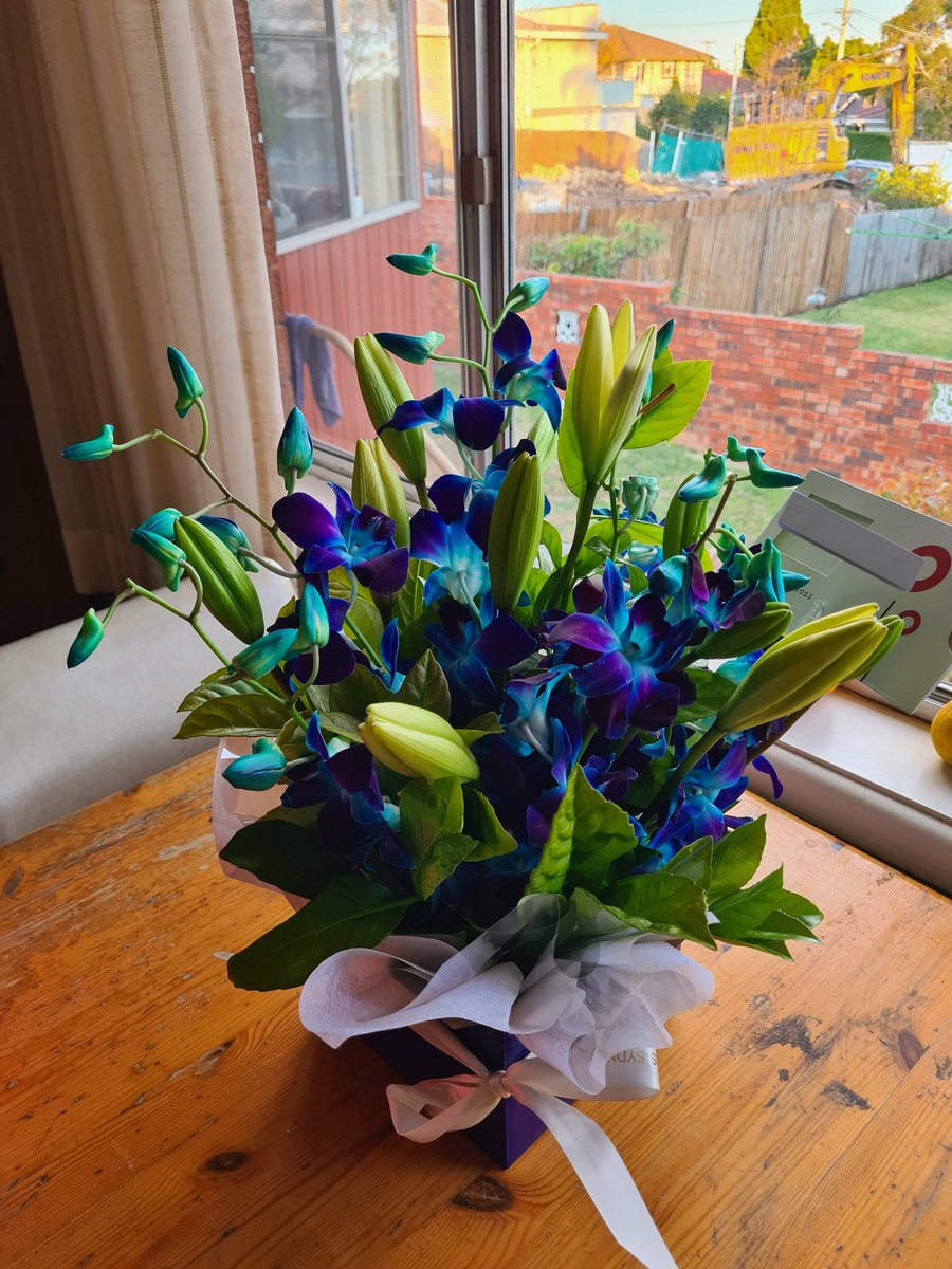 карина ☁️💙 tweet media