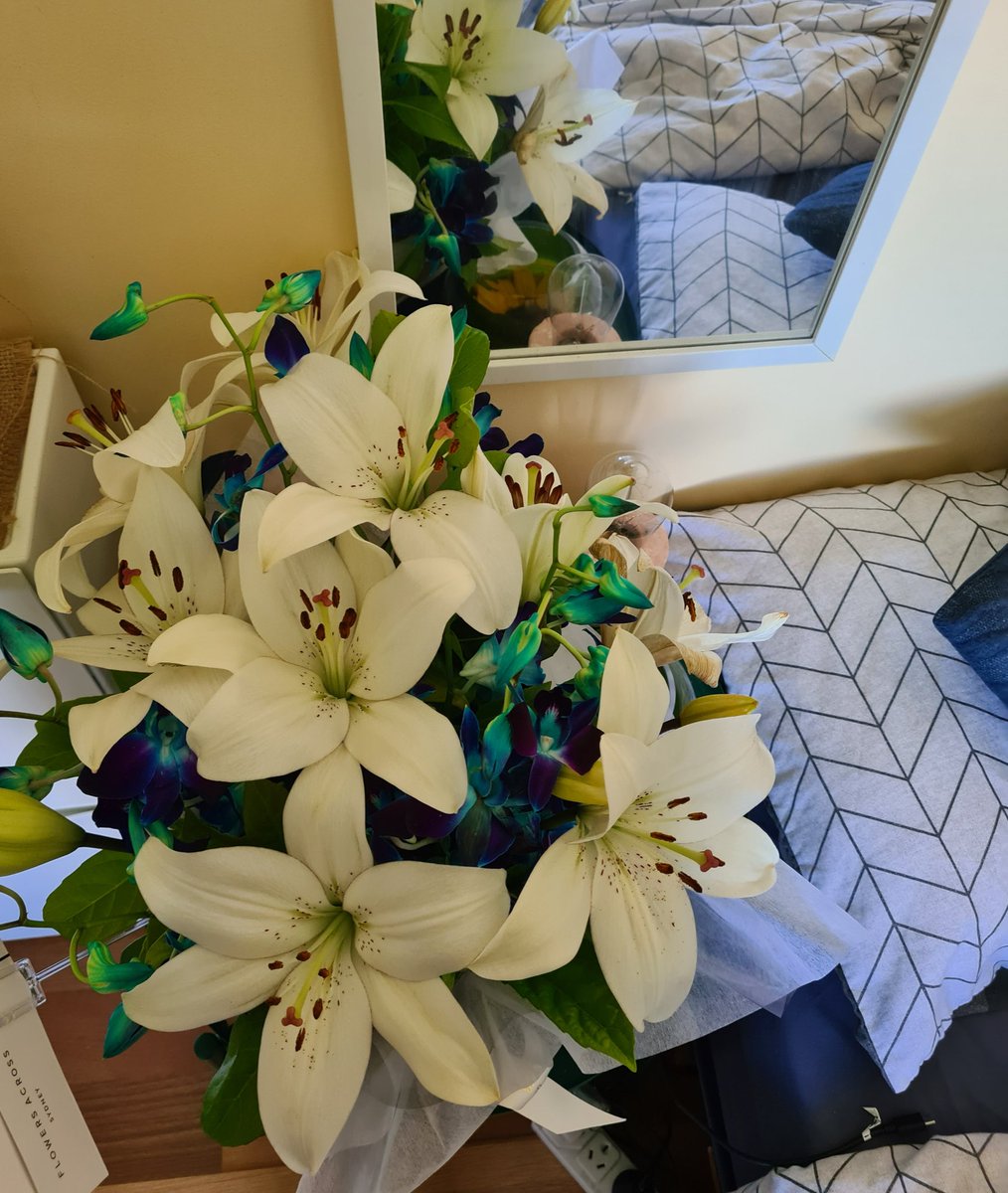 карина ☁️💙 tweet media