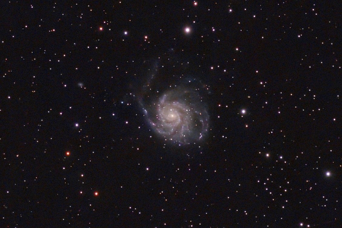 susan_snowy's tweet photo. A few more images taken with the Dwarf Mini smart telescope 😍 #WhirlpoolGalaxy #PinwheelGalaxy #MarkariansChain https://t.co/3s7fwSXulo