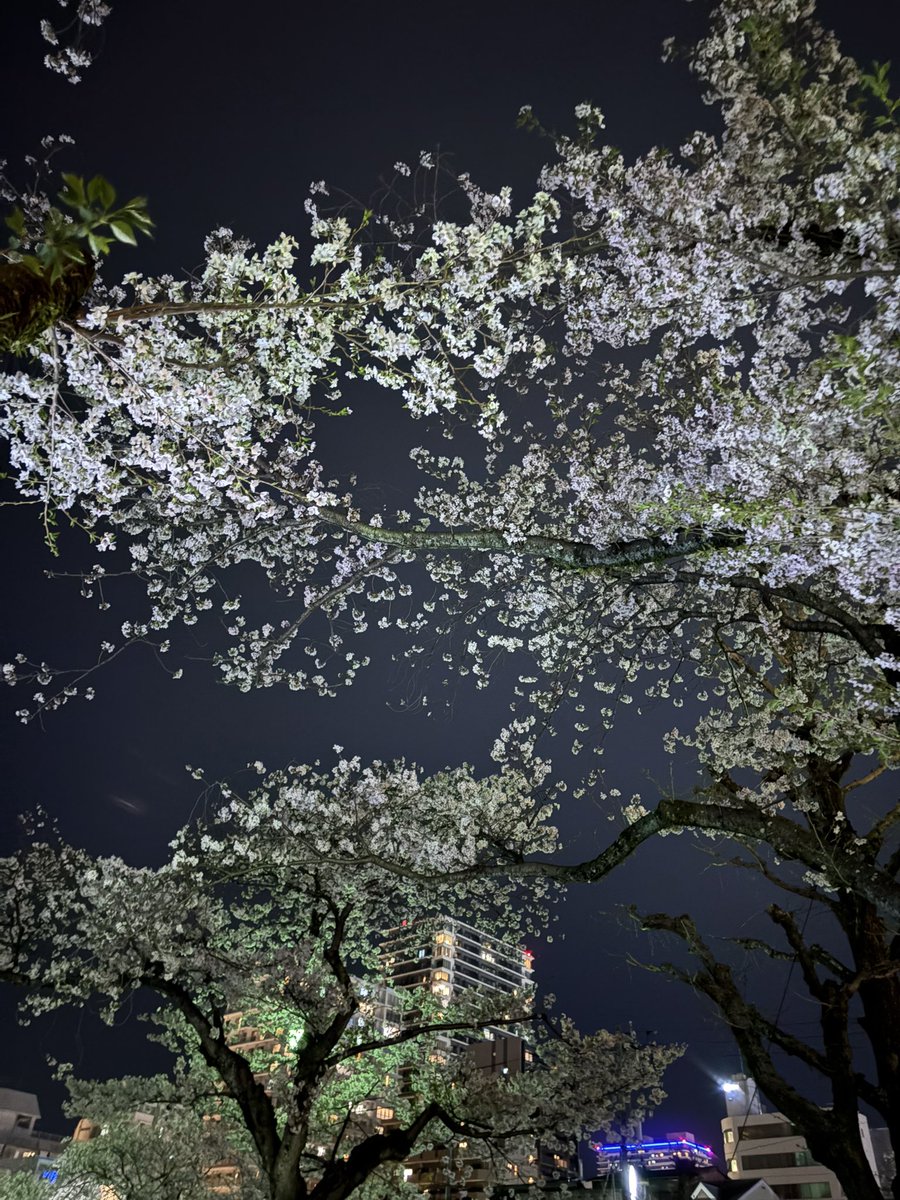 黒川浩和 tweet media