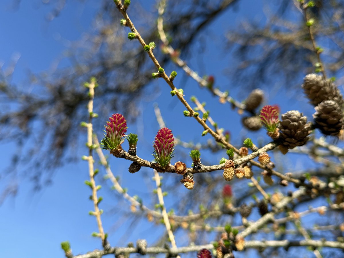 STR_1893 tweet media