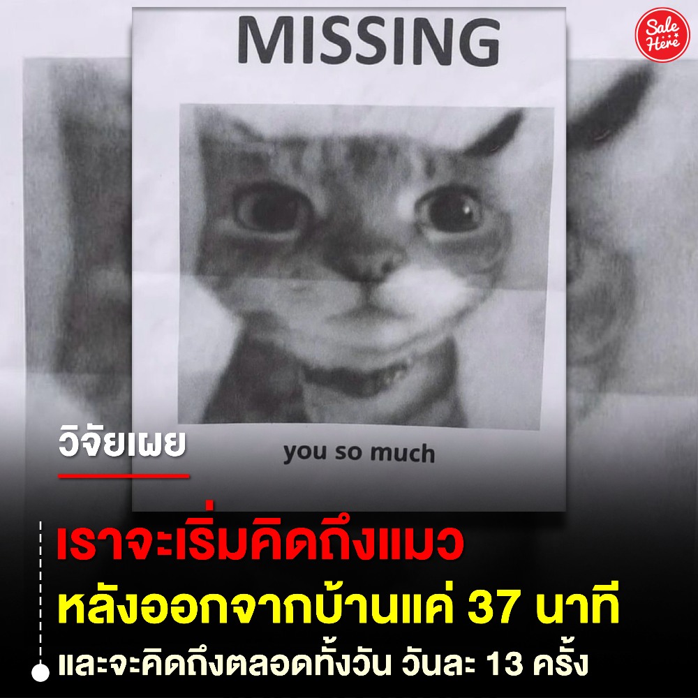 Sale Here - อะไรลดเรารู้ tweet media