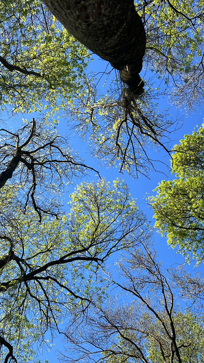 خولة🇲🇦 tweet media