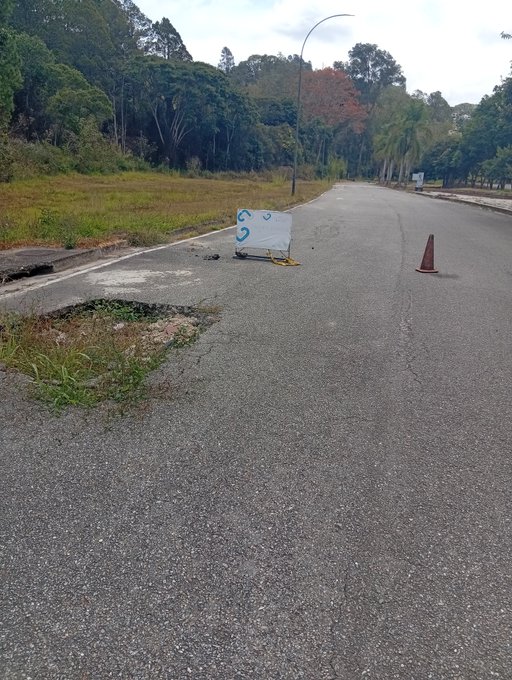 El Diario tweet media